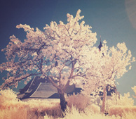 在线DDOS平台攻击